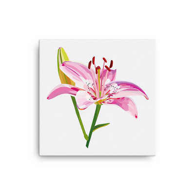 Lily Canvas